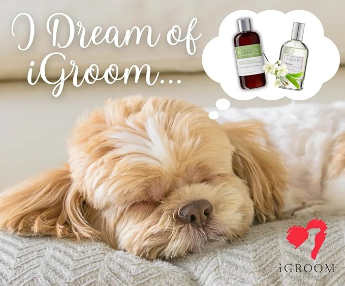 iGroom Dog Groomers Bundle - Argan & Vitamin E Dog Shampoo Concentrate, Enhanced Cleaning, 16 oz - Pro-Keratin Leave-in Conditioner, Excellent Detangling, 16 oz