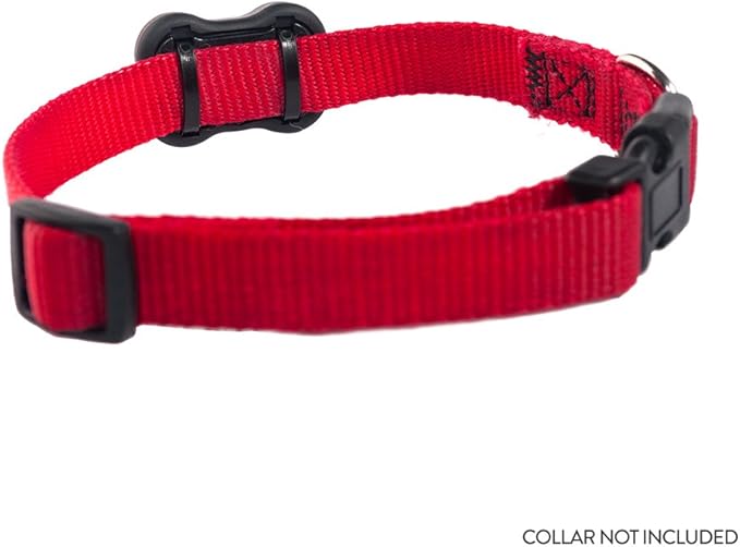 2 Dog Activity Monitor | Health & Fitness Tracker for Dogs | Waterproof, Small & Leightweight (10 g) | Not a GPS Tracker