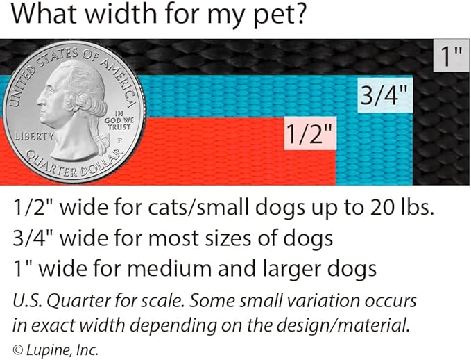 LupinePet Basics 1" Black 16-28" Adjustable Collar for Large Dogs