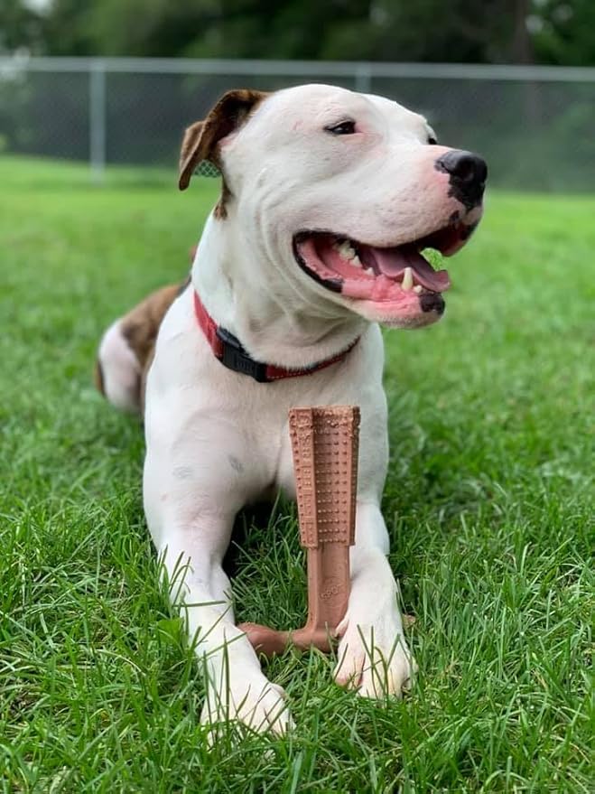 SPOT Bam-Bones Plus T Bone - Bamboo Fiber & Nylon, Durable Long Lasting Dog Chew for Aggressive Chewers – Great Toy for Adult Dogs & Teething Puppies Under 90lbs, Non-Splintering, 7in, Beef Flavor
