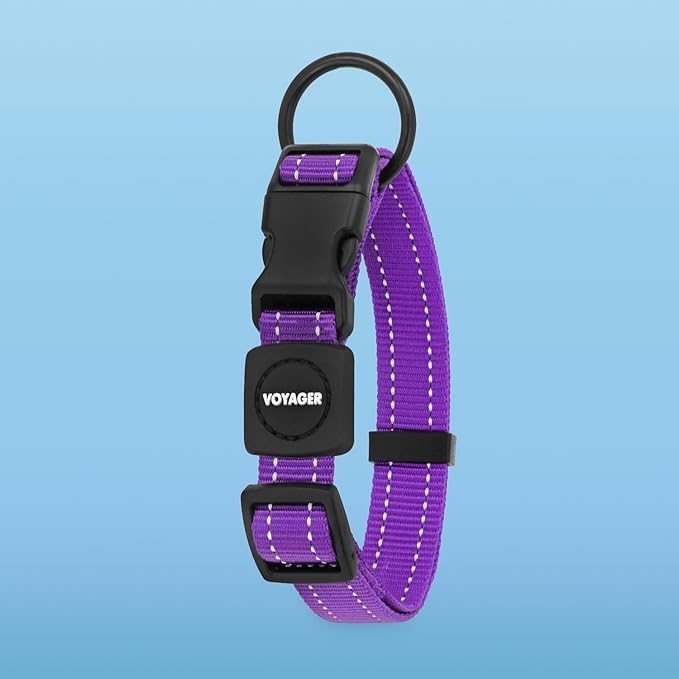 Voyager Reflective Dog Leash Collar Set with Neoprene Handle Supports Small, Medium, and Large Breed Puppies, Cute and Heavy Duty for Walking, Running, and Training - Purple, M