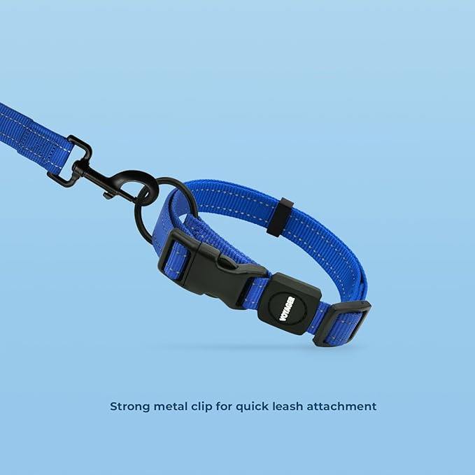 Voyager Reflective Dog Leash Collar Set with Neoprene Handle Supports Small, Medium, and Large Breed Puppies, Cute and Heavy Duty for Walking, Running, and Training - Royal Blue, S