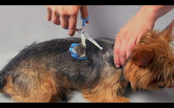 No Buzz Clipper + Dematting Comb by Scaredy Cut Silent Home Pet Grooming Kit, Pink, Right-Handed