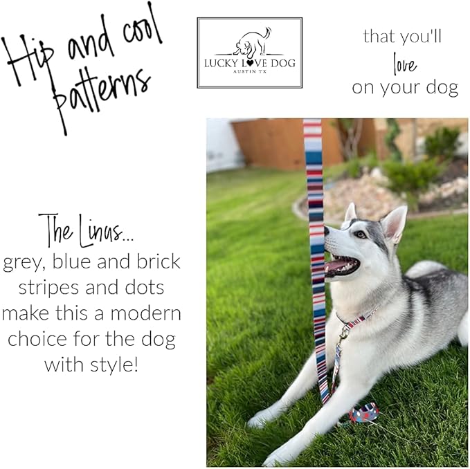 Lucky Love Dog, Nautical Dog Collar, Polka Dot Blue Red White Striped Collar for Male Female Dogs, Adjustable & Comfy - (Small, Linus Collar)