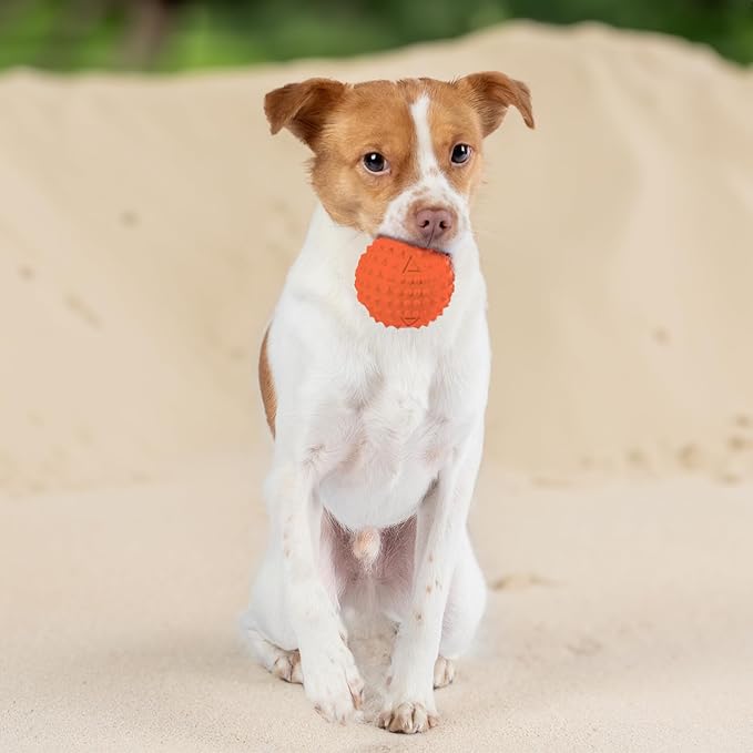 Best Pet Supplies Squeaky Rubber Spiky Ball Dog Toy Durable Non-Toxic Perfect for Aggressive Chewers Spiked for Dental Health Interactive Dog Toy - Pack of 4 - Assorted Colors (M:2.5")