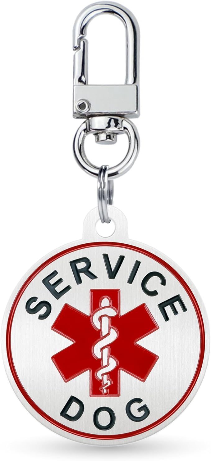 Service Dog ID Tag for Small & Large Dogs - Emotional Support ESA Medical Alert Collar Accessory - Durable Stainless Steel Service Animal Tag - Classic Service Tag in Silver Small