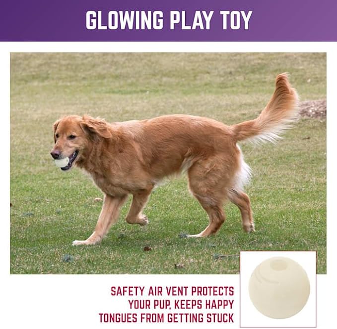 Chew King Glowing Fetch Ball, Dog Ball Toys, Ball Combo