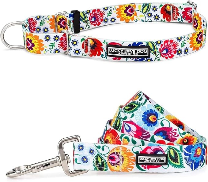 Lucky Love Dog Martingale Collar and Leash Set, Premium No Slip Collar and Leash Set, Vivid Floral Martingale Dog Collar, Great for Whippets, Greyhounds, and More (Ladybird, Large - Combo)