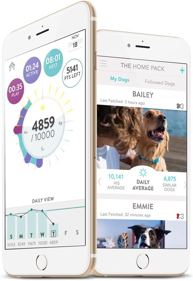 2 Dog Activity Monitor | Health & Fitness Tracker for Dogs | Waterproof, Small & Leightweight (10 g) | Not a GPS Tracker