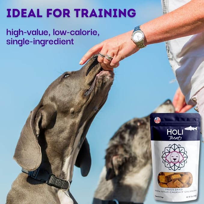 HOLI Freeze Dried Salmon Dog Treats - with Omega 3 and 6 Fish Oil - All Natural Dog Treats - Human Grade - Wild Caught Salmon - Made in USA - Grain Free - Diabetic Friendly