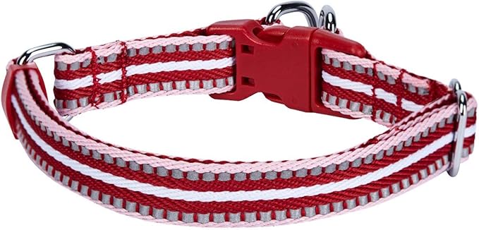 Blueberry Pet 3M Reflective Dog Collars | Adjustable Dog Collar w/Multi-Colored Stripe - Marsala Red and Pink | Nylon Pet Collars for Dogs & Refflective Dog Collar for Large Dogs