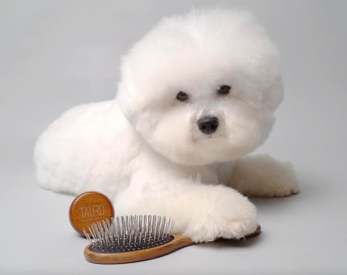 TAURO PRO LINE Wooden Dog Brush for Detangle Long and Short Hair, Wooden Soft Massage Brush for Grooming Haired Dogs and Cats, Flexible Cushion and Non-Slip Grip, Oval, 9,45 x 3,54 inch, Brown