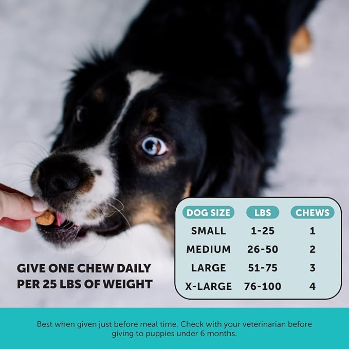 Pet Honesty Hemp Calming Chews for Dogs - Dog Anxiety Relief, Dog Calming Treats with Hemp + Valerian Root, Melatonin for Dogs - Helps Aid with Thunder, Fireworks, Chewing & Barking (Beef Liver 90 ct)