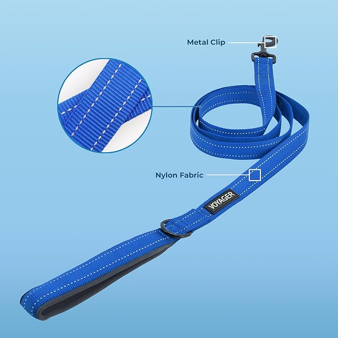 Voyager Reflective Dog Leash Collar Set with Neoprene Handle Supports Small, Medium, and Large Breed Puppies, Cute and Heavy Duty for Walking, Running, and Training - Royal Blue, S