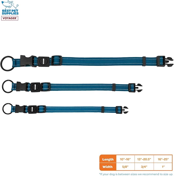 Best Pet Supplies Reflective Dog Collar with Adjustable Length, Heavy-Duty Buckle, and Strong Leash D-Ring, Training, Walking, Jogging Accessory for Small, Medium, and Large Breeds - Blue, M