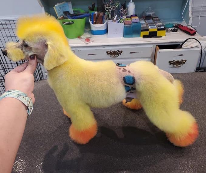 Magic Color Shampoos (Yellow). Semi-Permanent Pet Hair Coloring Shampoo, Safe and Gentle Ammonia and Paraben Free Hair Dye Shampoo, Non-Toxic Coloring Shampoo for All Pets Can be Bathed.