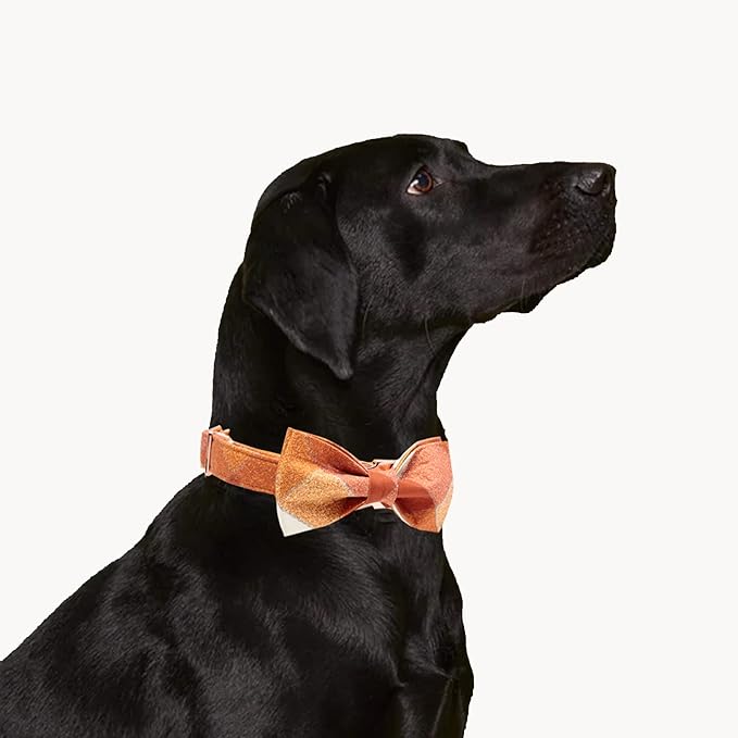 MR. CHUBBYFACE Fall Dog Collar Bow Adjustable Girl Boy Orange Dog Collar Bow Tie Cute Plaid Dog Collar for Small Medium Large Dogs