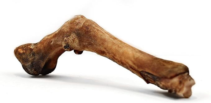Chews Dried Sheep Legs 2 pcs.