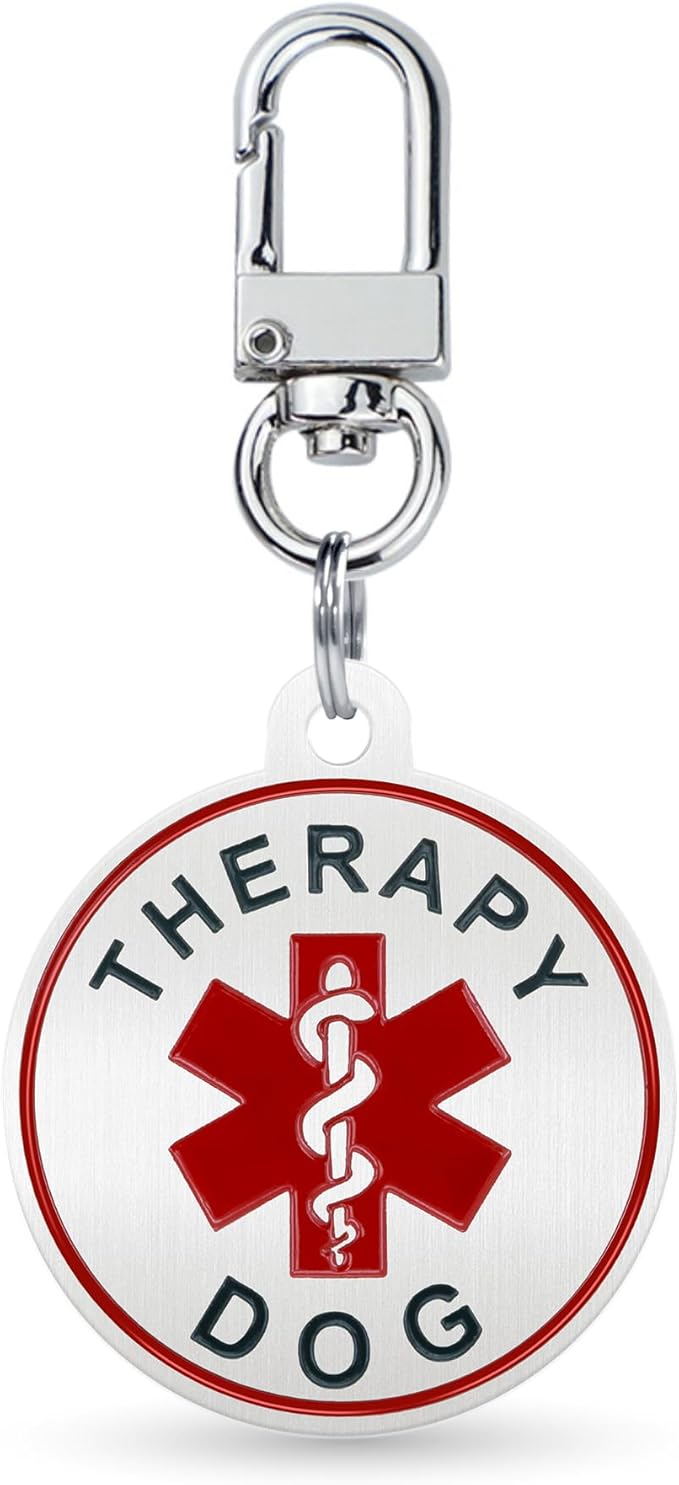 Service Dog ID Tag for Small & Large Dogs - Emotional Support ESA Medical Alert Collar Accessory - Durable Stainless Steel Service Animal Tag - Classic Therapy Dog Service Tag in Silver Small