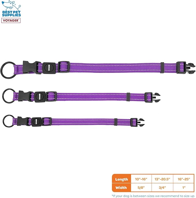 Best Pet Supplies Reflective Dog Collar with Adjustable Length, Heavy-Duty Buckle, and Strong Leash D-Ring, Training, Walking, Jogging Accessory for Small, Medium, and Large Breeds - Purple, L
