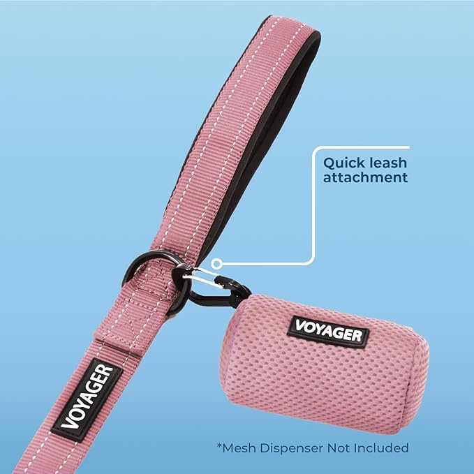 Voyager Reflective Dog Leash with Neoprene Handle, 5ft Long, Supports Small, Medium, and Large Breed Puppies, Cute and Heavy Duty for Walking, Running, and Training - Pink (Leash), M