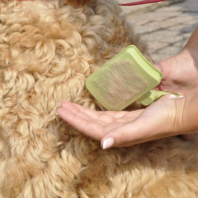 Coastal Pet Safari Dog Self-Cleaning Slicker Brush - Dog Deshedding Brush - Prevents Mats and Tangled Hair - For Dogs with Short or Long Hair - Medium - 4.25" x 4.06"