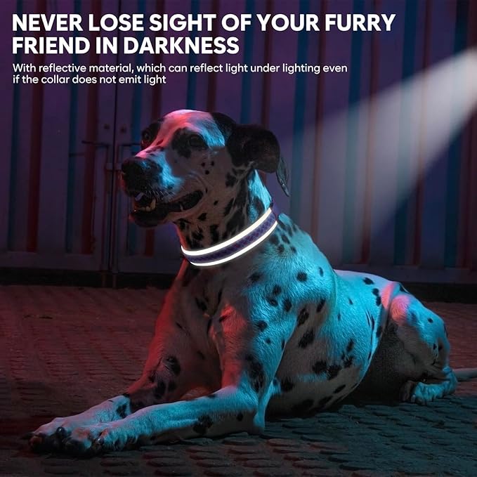 BiPawTi LED Dog Collar Rechargeable, Light Up Dog Collar 3 Light Modes Pet Safety Collar, Super Bright Glow in The Dark Dog Collar for Night Walking, Lighted Dog Collar for Large Dogs (Pink, L)
