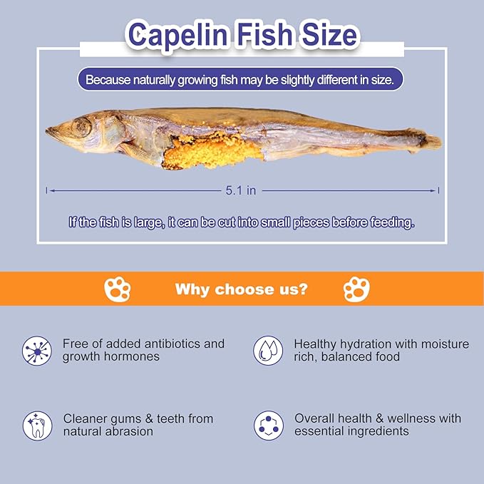 Freeze Dried Fish Dog Treats - Whole Capelin Fish Seeds Cats Treats Natural Single Ingredient Delicious Snacks Training Healthy Chews Food Pet Food No Fillers (3 Oz)