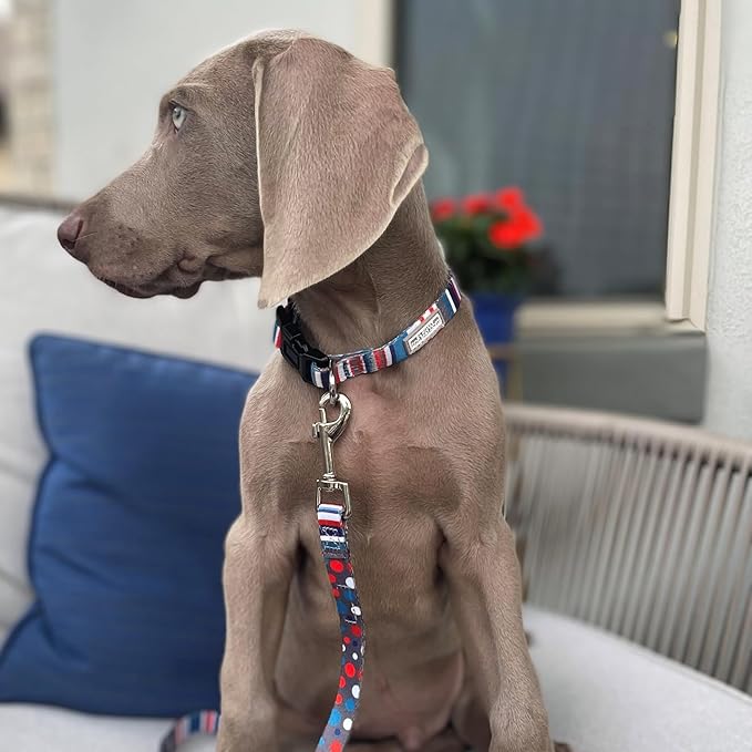 Lucky Love Dog, Nautical Dog Collar, Polka Dot Blue Red White Striped Collar for Male Female Dogs, Adjustable & Comfy - (Small, Linus Collar)