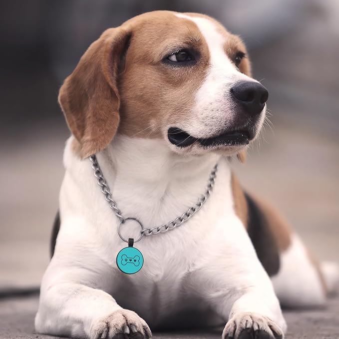 MYLUCKYTAG Silent Silicone QR Code Pet ID Tags Dog Tags - Pet Online Profile - Scan QR Receive Instant Pet Location Alert Email