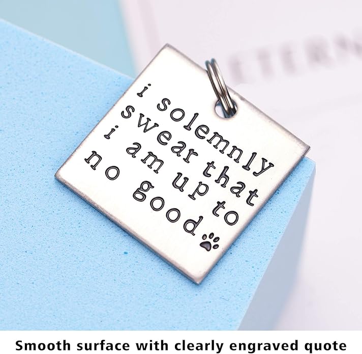 LParkin I Solemnly Swear That I am up to no Good! - Unique Pet Id Tag - Dog Tag - Cat Tag