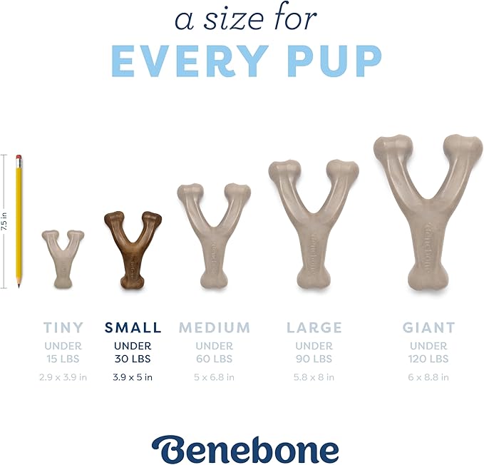 Benebone Puppy Wishbone Dog Chew Toy, Made in USA, Real Bacon Flavor, Small