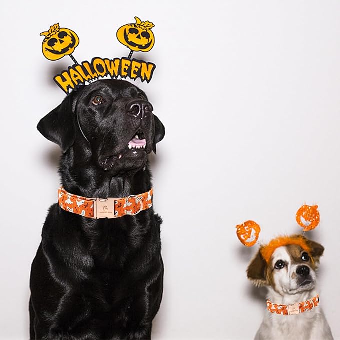 Lionheart glory Halloween Dog Collars, Fall Dog Collar Heavy Duty Adjustable Dog Collar for Large Collar Dog Female or Male Dog Collar