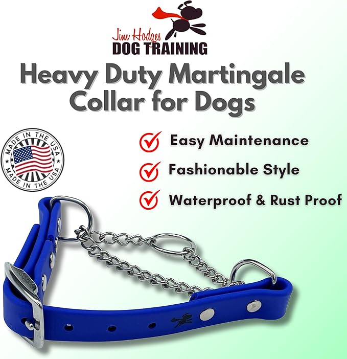 Martingale Collar for Dogs, Biothane, Stainless Steel Hardware, No Pull, Made in The USA, Professional Grade, Large, Blue