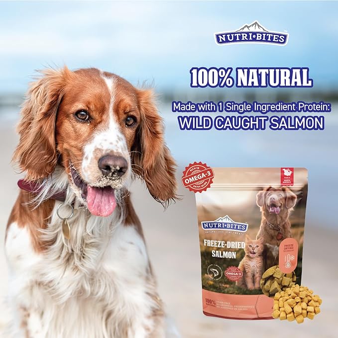 Nutri Bites Freeze Dried Salmon Dog & Cat Treats 4 oz | Healthy Pet Training Treats or Food Topper | All Natural, 1 Single Animal Protein, High Protein
