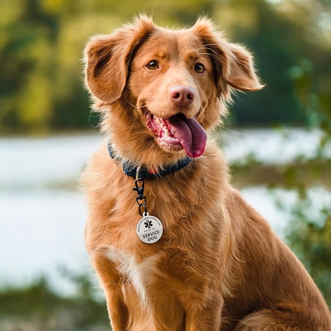 MYLUCKYTAG Service Dog Tag, QR Code Stainless Steel Pet ID Tag Dog Tag, Online Pet Profile, Pet Location Alert Email, Digital Pet Tag, Durable Pet ID, Dog Collar Tag, Engraved Pet Tag