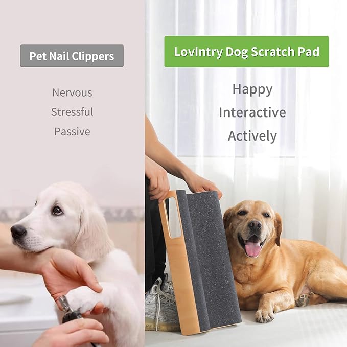 M-Shaped Dog Scratch Pad for Nails, Dog Nail File Toy for Dog Nail Maintenance, Shortened Dog’s Side Nails Easily (M)