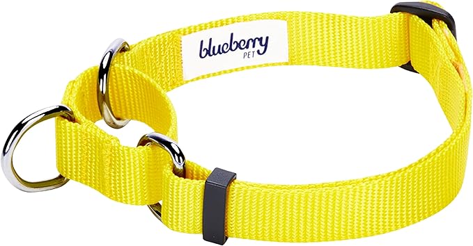 Blueberry Pet Essentials Martingale Safety Training Dog Collar, Blazing Yellow, Small, Heavy Duty Nylon Adjustable Collars for Dogs