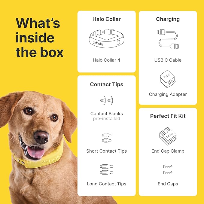 Halo Collar 4, All New GPS Wireless Dog Fence & Dog Training Collar with GPS Tracker, Subscription Required, Waterproof, One Size, Graphite