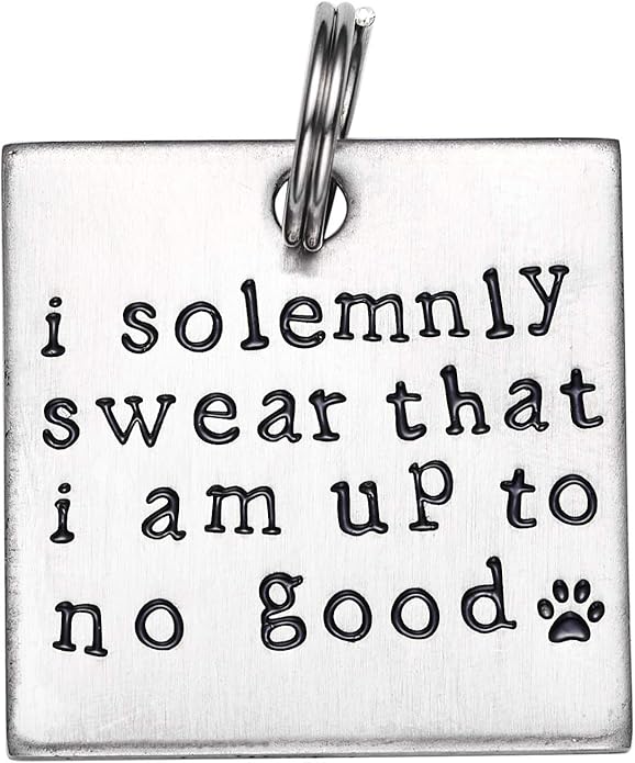 LParkin I Solemnly Swear That I am up to no Good! - Unique Pet Id Tag - Dog Tag - Cat Tag