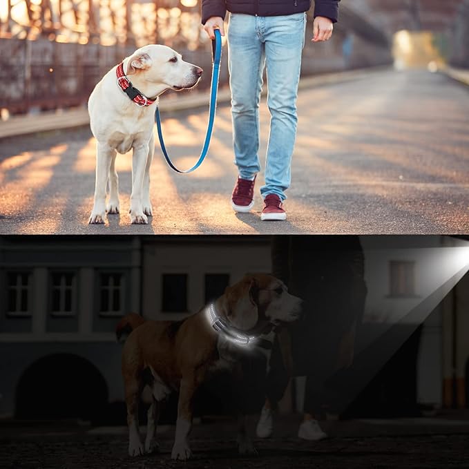 AUAUY Reflective Nylon Dog Collars, Adjustable Classic Pet Collars with Soft Neoprene Padding, Double Security Dual D-Ring and Quick Release Buckle for Small Puppy, Medium and Large Dogs (Red-L)