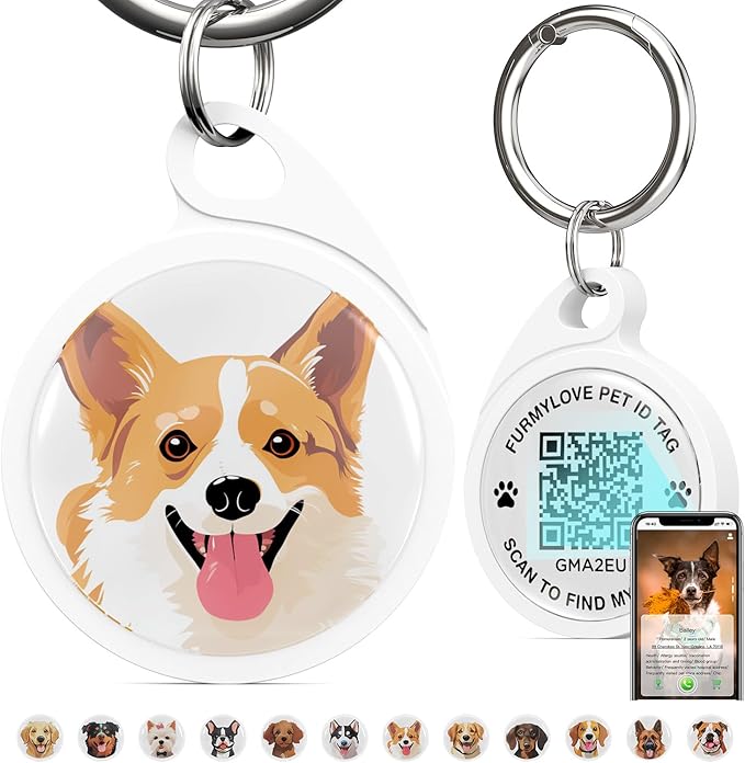 QR Code Dog Tag, Dog Tags Personalized Silent Pet ID Tag Customizable Free Pet Online Profile, Corgi