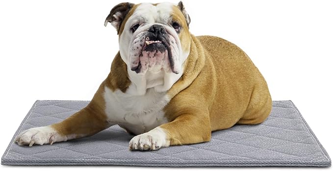 HOMBYS Chew Proof Dog Crate Pad Mat, Indestructible Kennel Pad for Aggressive Chewers, Durable and Water Resistant Teething Puppy Crate Mats for Dogs Cages (Medium(35" L x 22" W), Grey)
