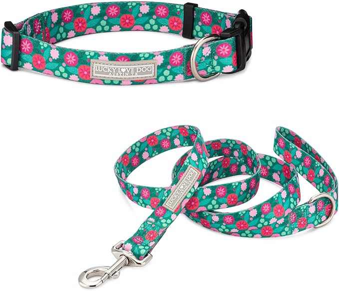 Lucky Love Dog Combo Set, Dog Collar & Leash Set for X-Small Dogs, Colorful Matching Collar and Leash Set for Girl or Boy Dogs, Stripes Penny Combo, XS
