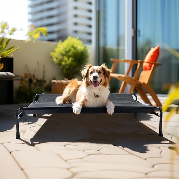 Veehoo Cooling Elevated Dog Bed, Raised Dog Beds for Large Dogs, Outdoor Dog Bed with Guardrail, Upgraded Non-Slip Feet, Breathable Teslin Mesh, Portable Camping Dog Cot, Large, Black, CWC2404