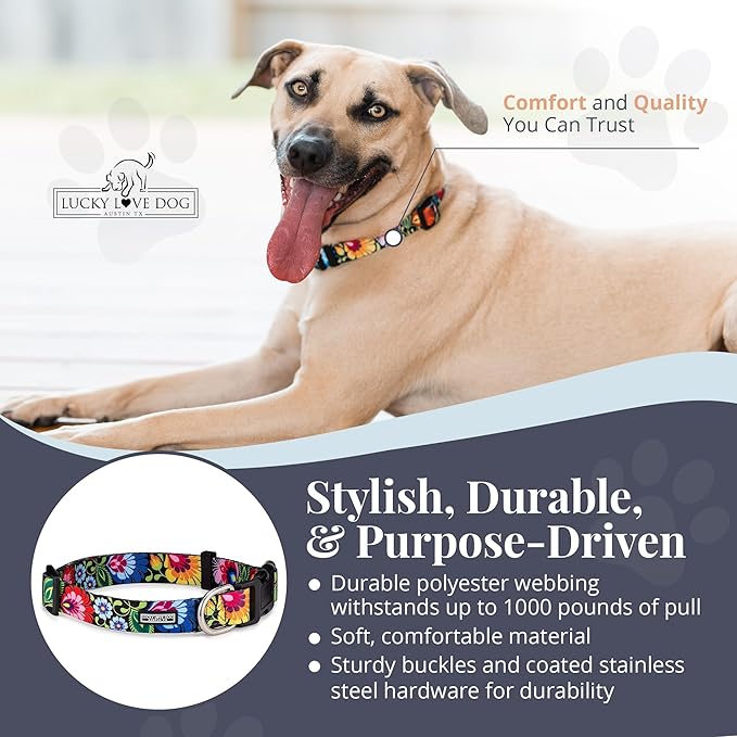 Lucky Love Dog - Adjustable Dog Collar with Easy Click Buckle for Small to Large Dogs, Durable, & Comfortable Collar for Male & Female Dogs, Pet Collar for Puppies & Adult Dogs - Blackbird, Large