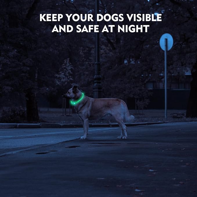 LED Dog Collar, Rechargeable Light Up Dog Collars,IP67 Waterproof Dog Lights for Night Walking,Adjustable, Reusable Safety Necklace for Small Medium Large Dogs(Blue)