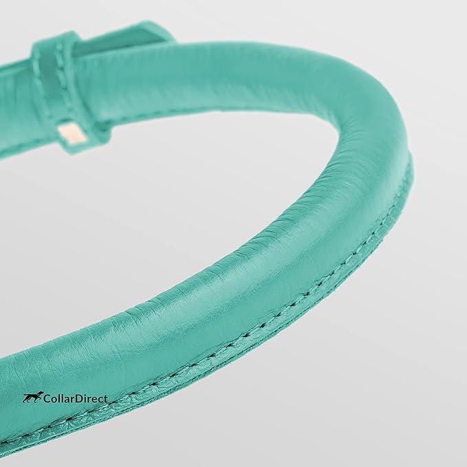 CollarDirect Rolled Leather Dog Collar, Soft Padded Round Puppy Collar, Handmade Genuine Leather Collar Dog Small Large Cat Collars 13 Colors (15-19 Inch, Mint Green Textured)