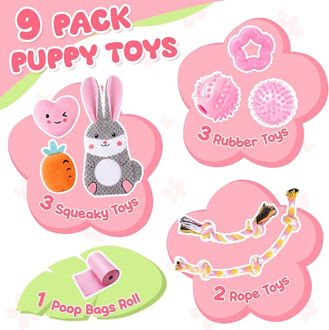Zeaxuie Pink Puppy Toys for Teething, 9 Pack Small Dog Toys with Cute Puppy Chew Toys, Squeaky Crinkle Dog Toys, Treat Ball and Interactive Rope Toys