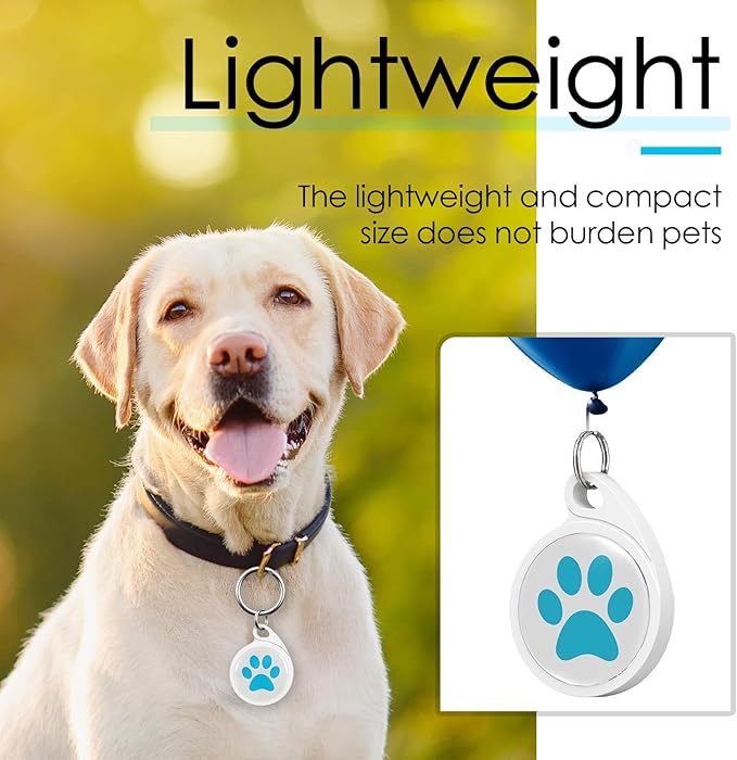 QR Code Dog Tag, Smart ID Tags, Dog Tags Personalized Lightweight Silent ID Tag for Kids Pets Bags Keys, Blue